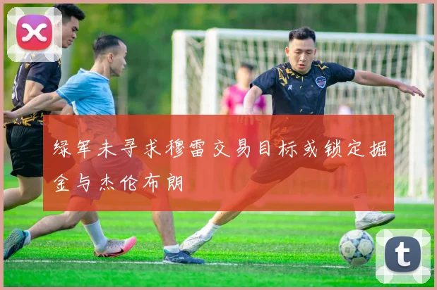 绿军未寻求穆雷交易目标或锁定掘金与杰伦布朗