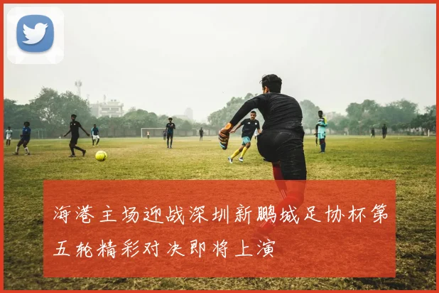 海港主场迎战深圳新鹏城足协杯第五轮精彩对决即将上演