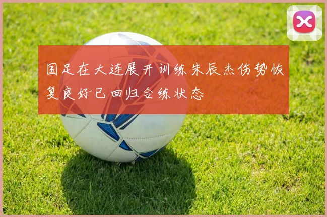 国足在大连展开训练朱辰杰伤势恢复良好已回归合练状态